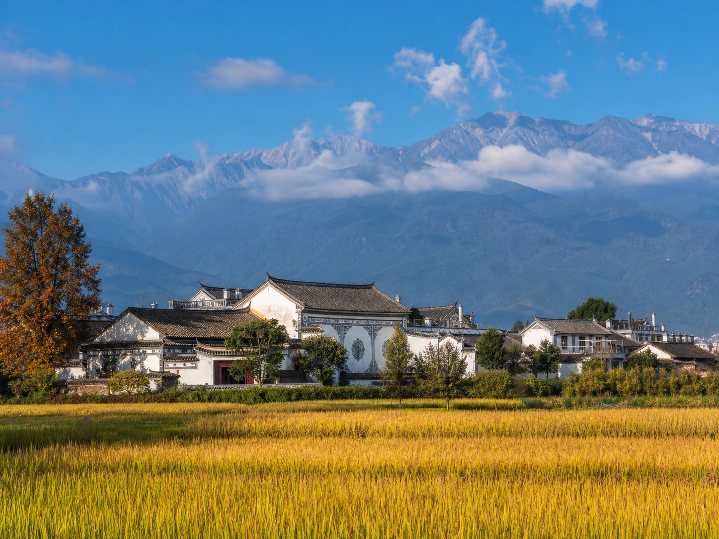 喜洲稻田 白族民居